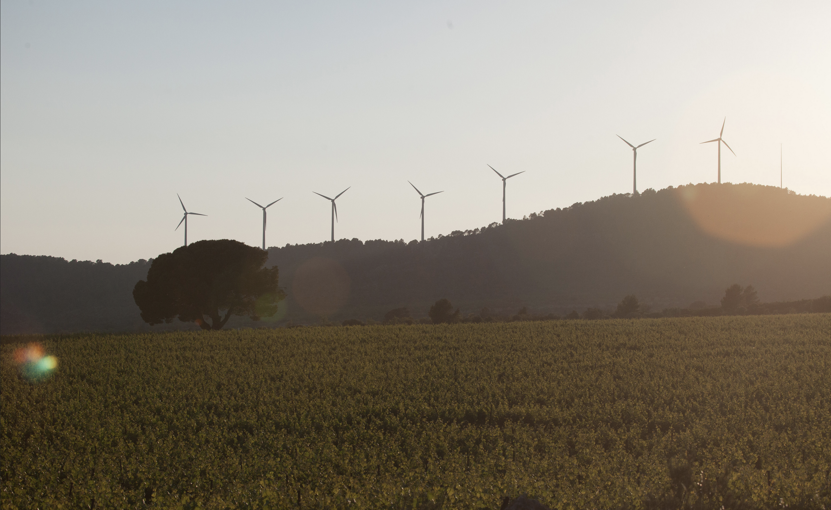 Bodegas Sierra Norte